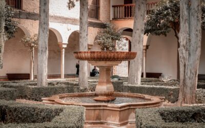 Botox en Granada: Entre el mito y la práctica clínica contemporánea